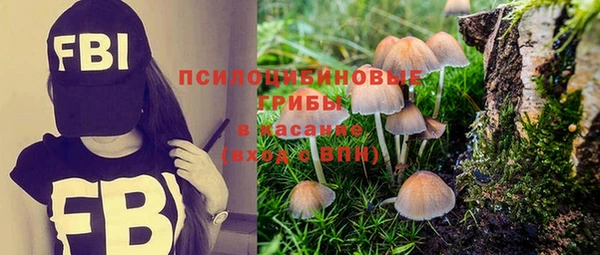 крисы Зеленодольск