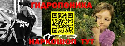 ГАЛЛЮЦИНОГЕННЫЕ ГРИБЫ Гусиноозёрск