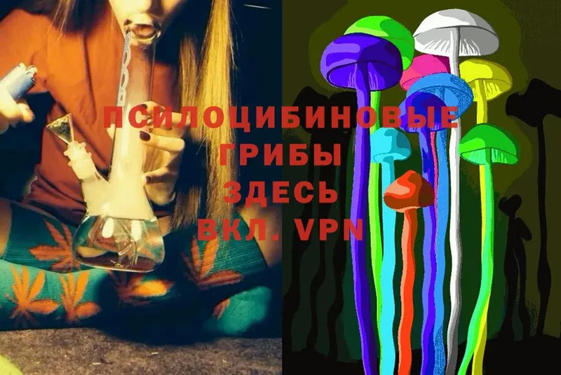 Галлюциногенные грибы Magic Shrooms  Саранск 