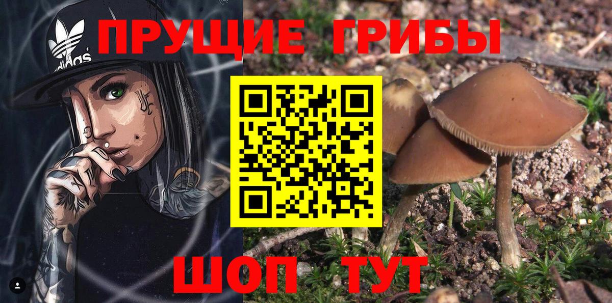 Галлюциногенные грибы MAGIC MUSHROOMS Саранск