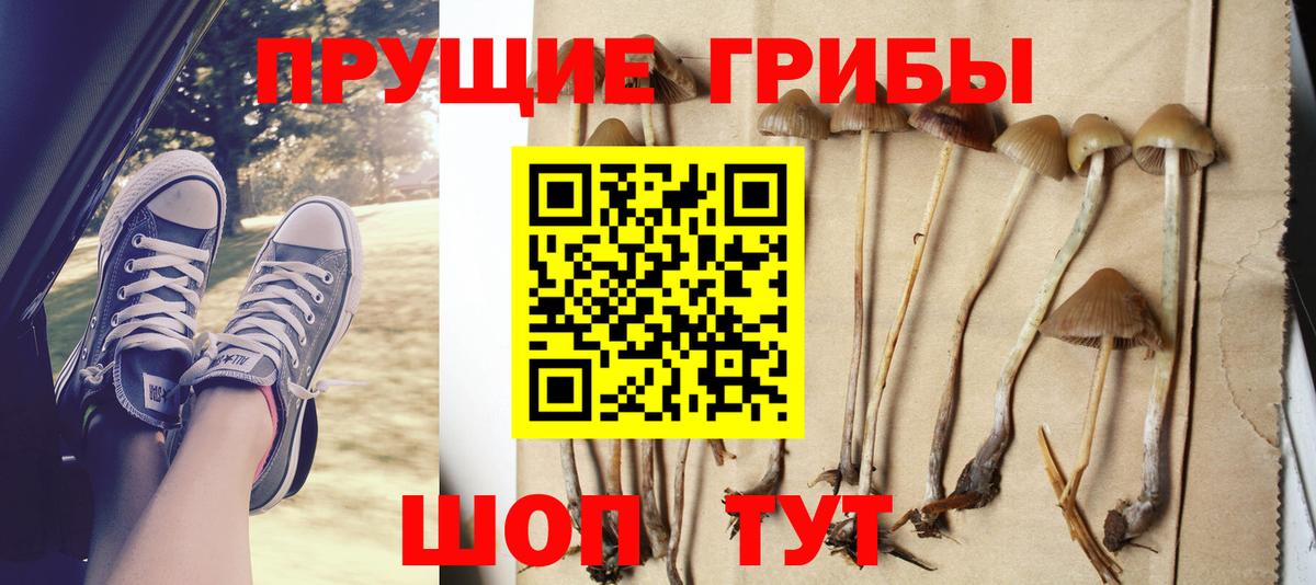 Псилоцибиновые грибы MAGIC MUSHROOMS Саранск